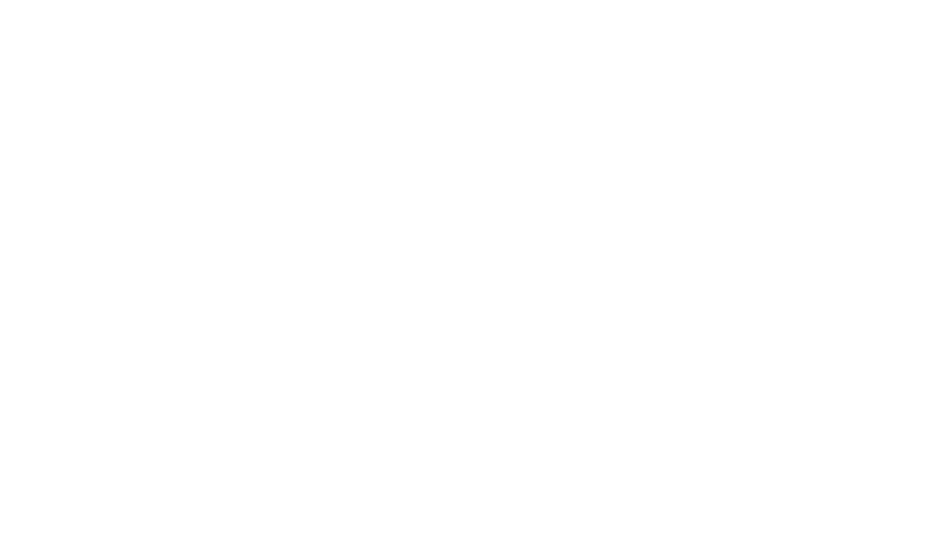 PLG Automazione Elettronica